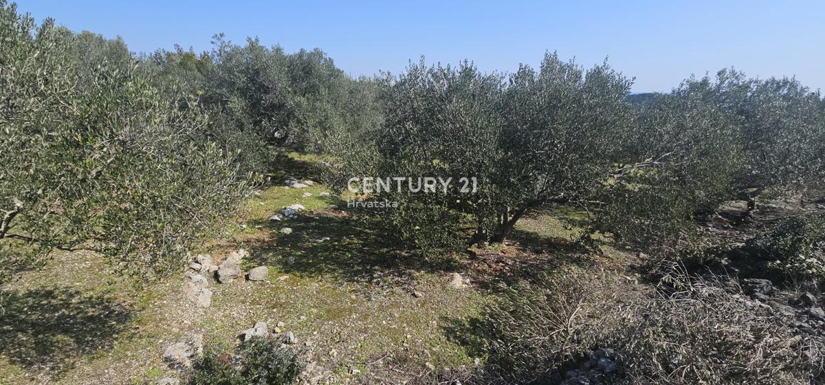 Land For sale - ZADARSKA UGLJAN