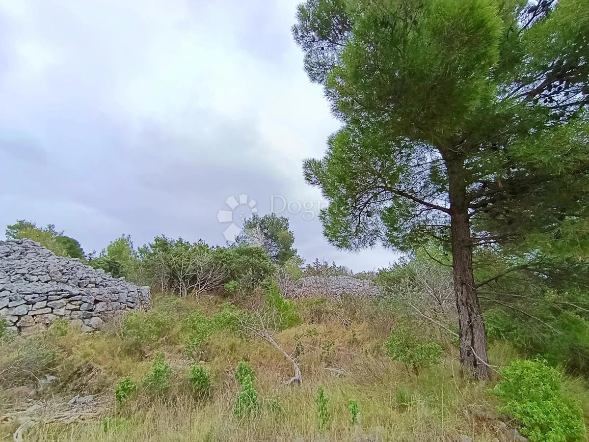 Land For sale - Splitsko-dalmatinska Brač - foto 3/4