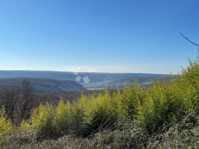 Zemljište na prodaju 7720 m² – Buje