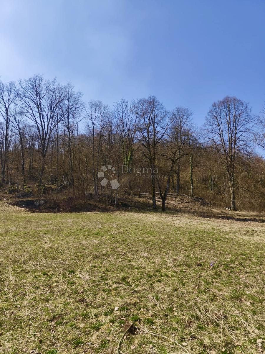 Działka Na sprzedaż - Ličko-senjska Gospić - foto 4/4