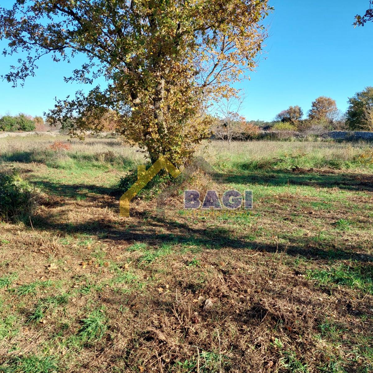 Land For sale - ISTARSKA VODNJAN