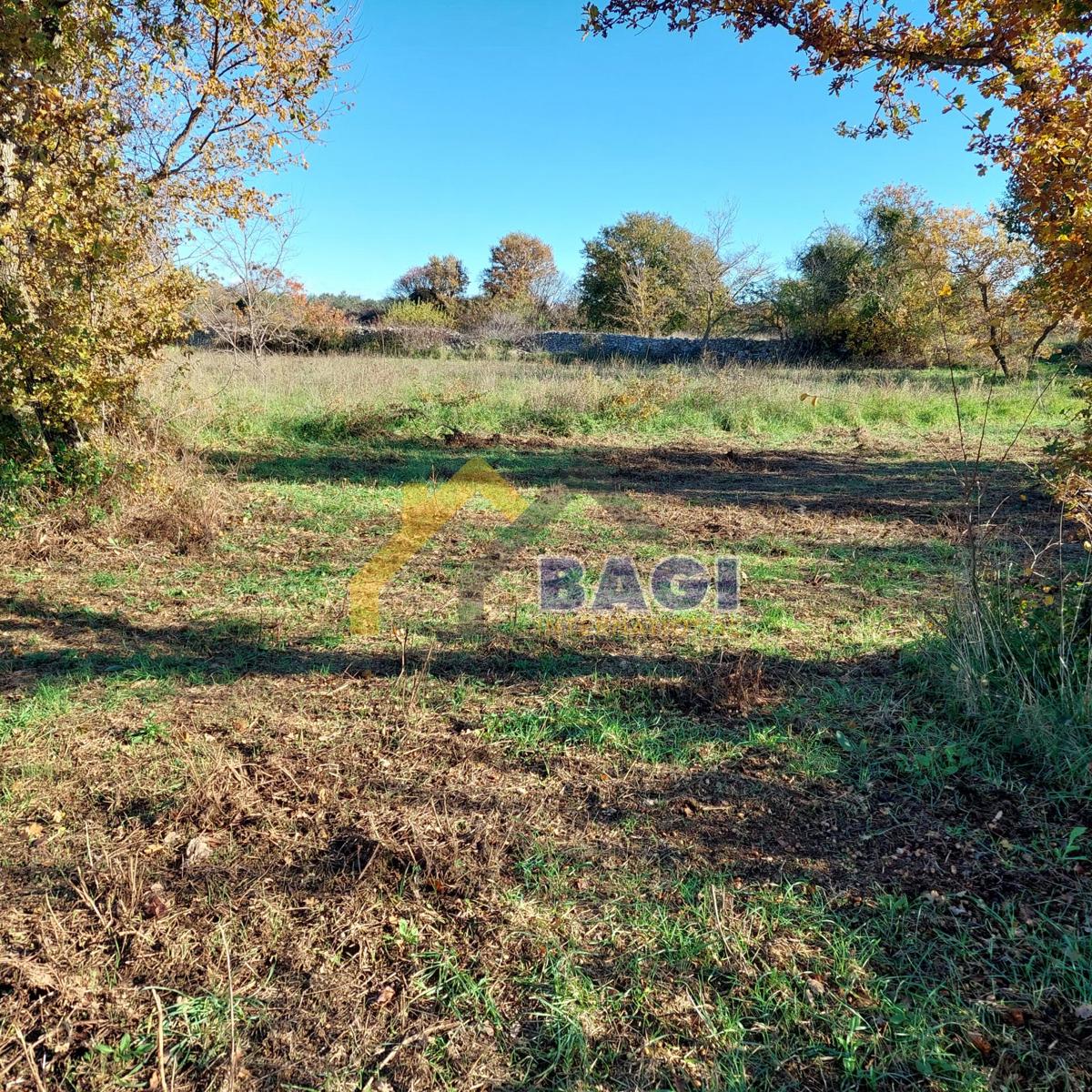 Land For sale - ISTARSKA VODNJAN