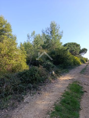 Land for sale 1307 m² – Vir