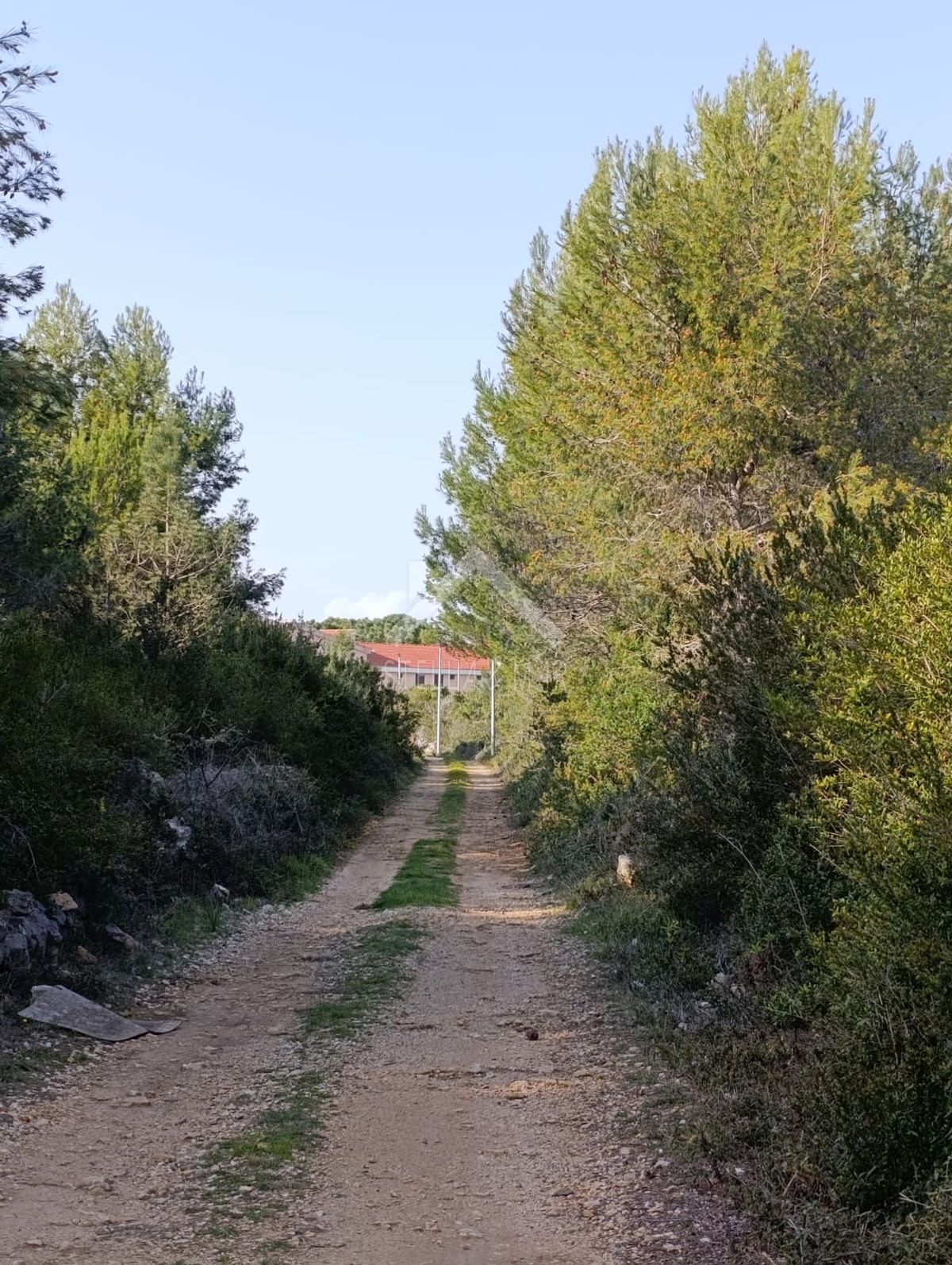 Land For sale - Zadarska Vir - foto 3/6