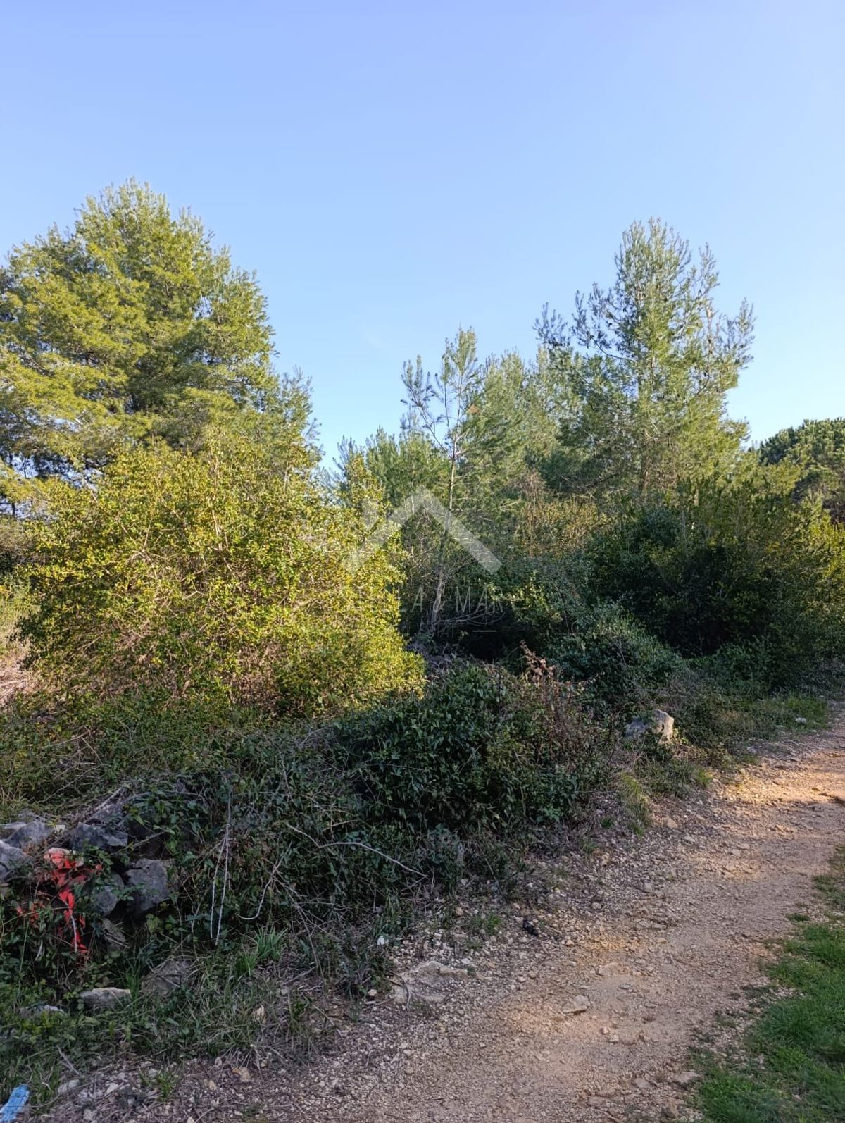 Land For sale - Zadarska Vir - foto 4/6