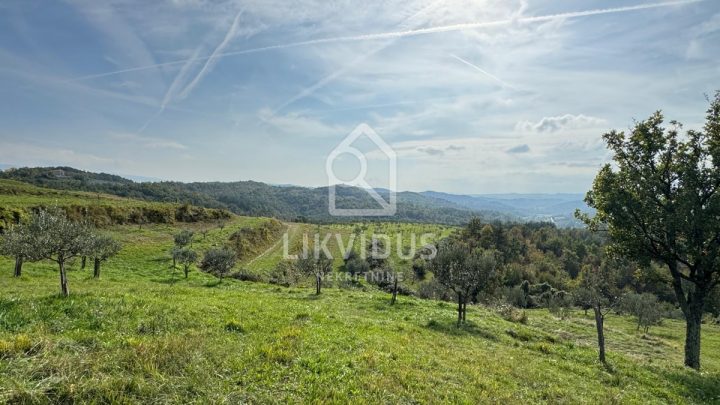 Haus Zu verkaufen - Istarska Cerovlje - foto 3/16