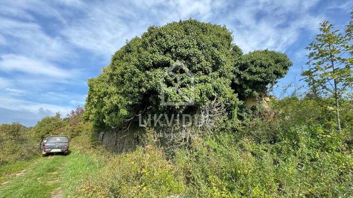 Haus Zu verkaufen - Istarska Cerovlje - foto 4/16