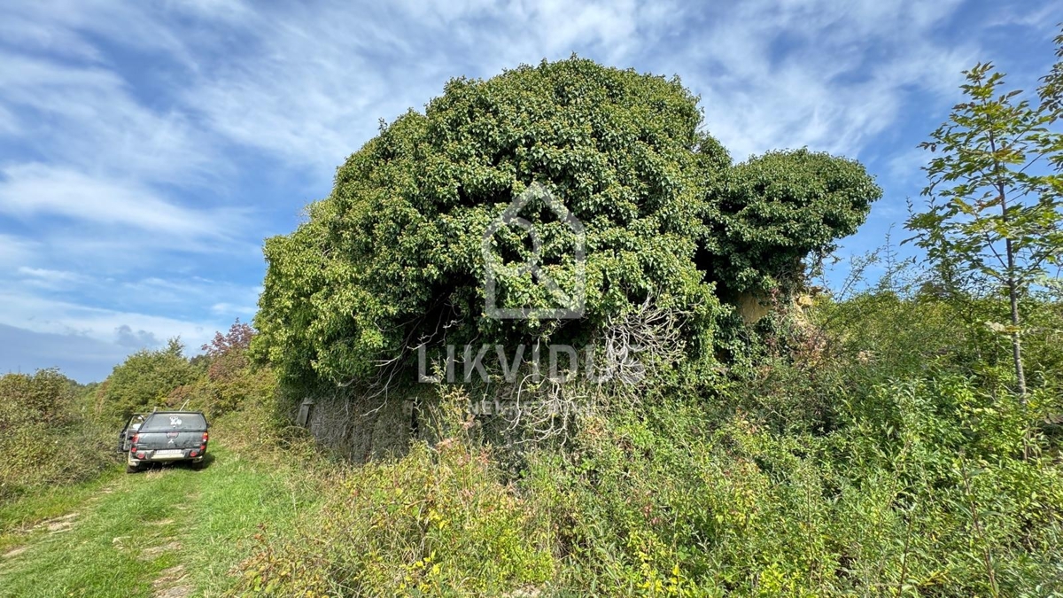 Dom Na predaj - ISTARSKA CEROVLJE