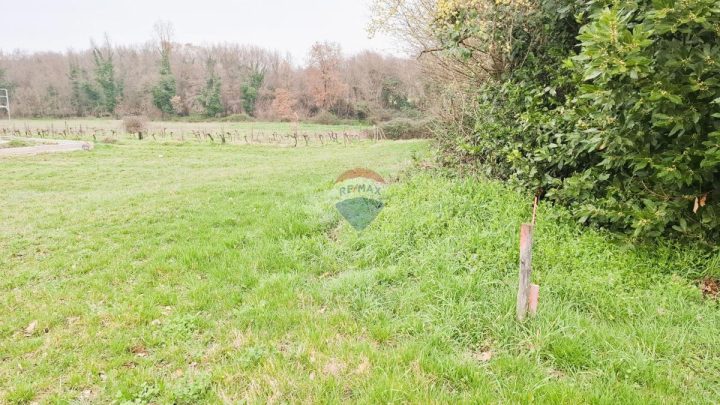 Terrain à vendre 619 m² – Brtonigla