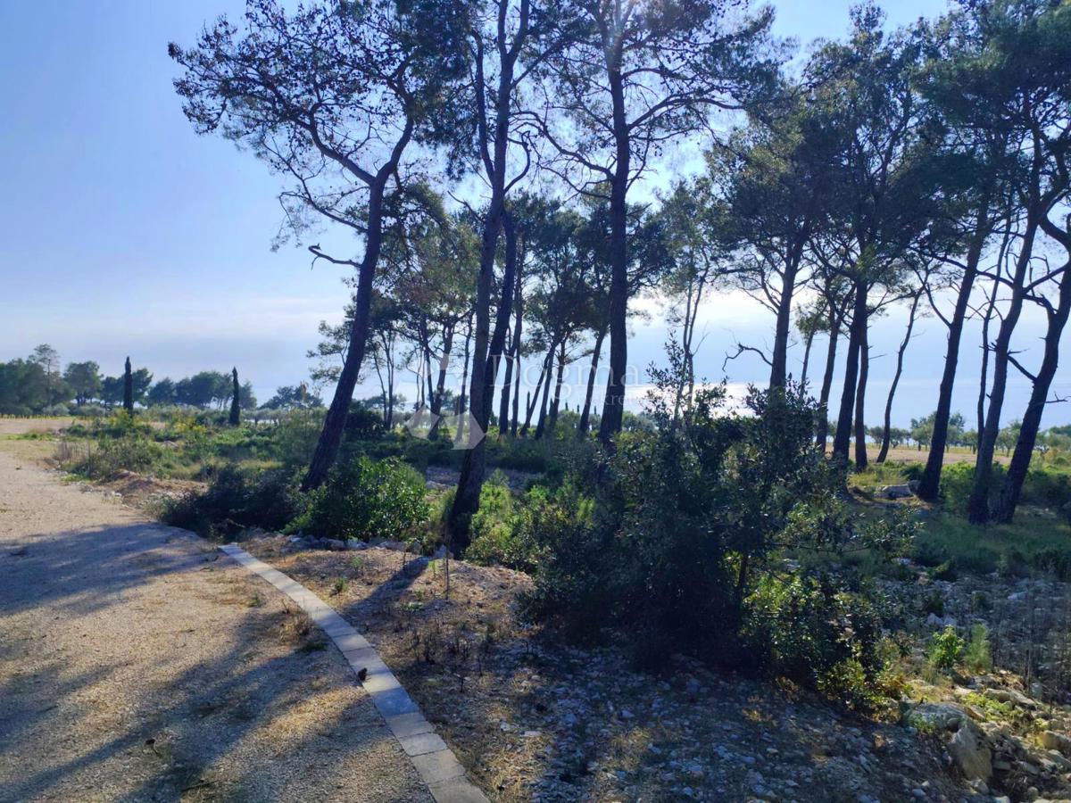 Pozemek Na prodej - Splitsko-dalmatinska Brač - foto 2/7
