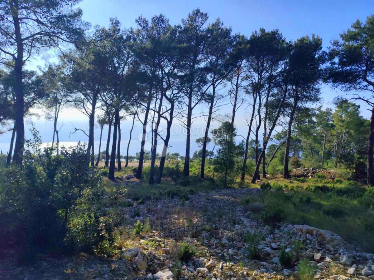 Pozemek Na prodej - Splitsko-dalmatinska Brač - foto 4/7