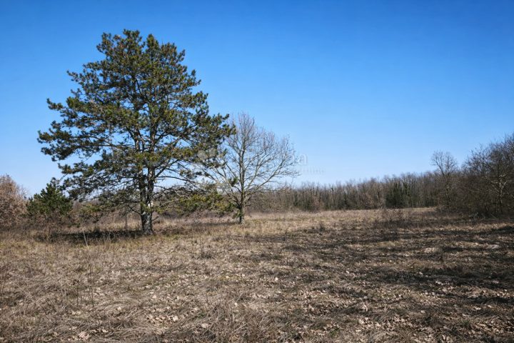 Zemljište Na prodaju - Istarska Sveta Nedelja - foto 4/4