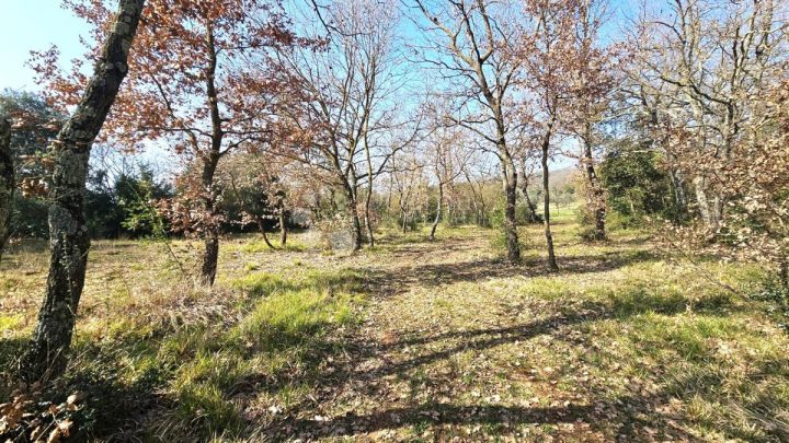 Land for sale 19838 m² – Rovinj