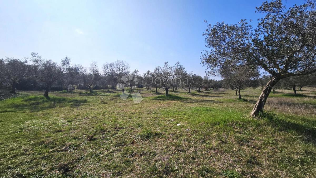 Terreno In vendita - Istarska Rovinj - foto 2/3