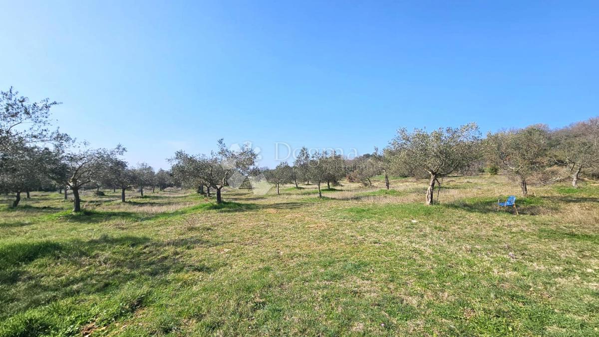 Terreno In vendita - Istarska Rovinj - foto 3/3