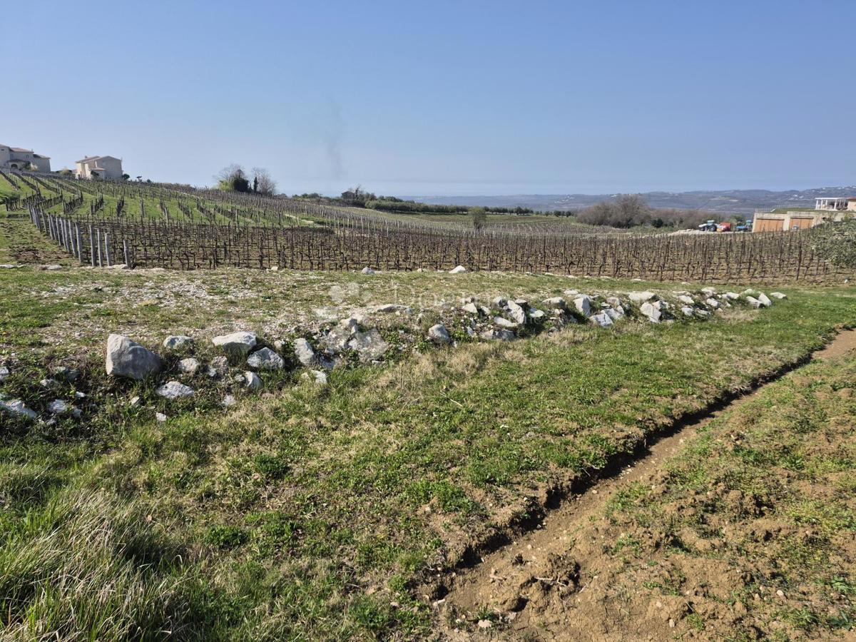 Land For sale - ISTARSKA VIŽINADA