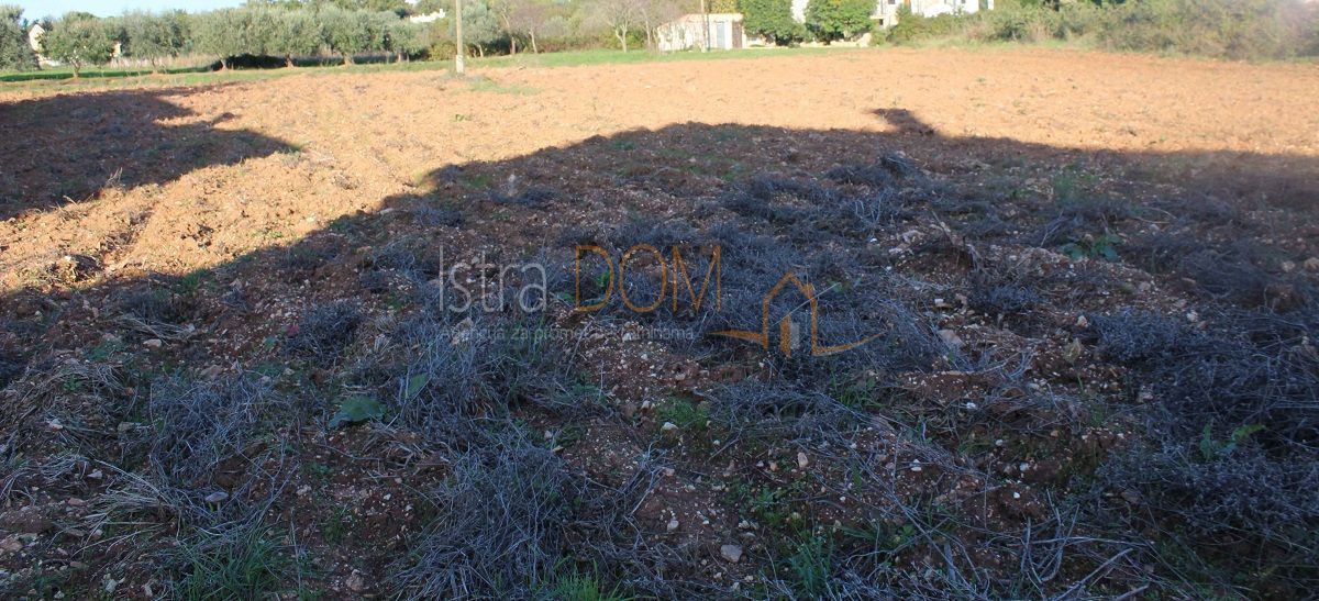 Terreno In vendita - Istarska Medulin - foto 1/2