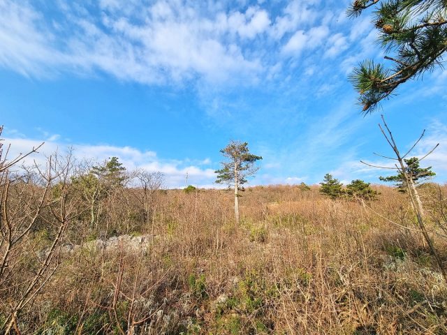 Land For sale - Primorsko-goranska Crikvenica - foto 4/5