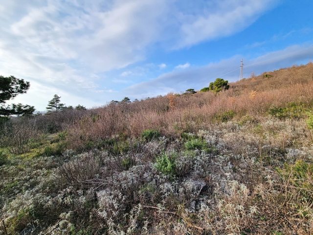 Terrain À vendre - Primorsko-goranska Crikvenica - foto 4/4