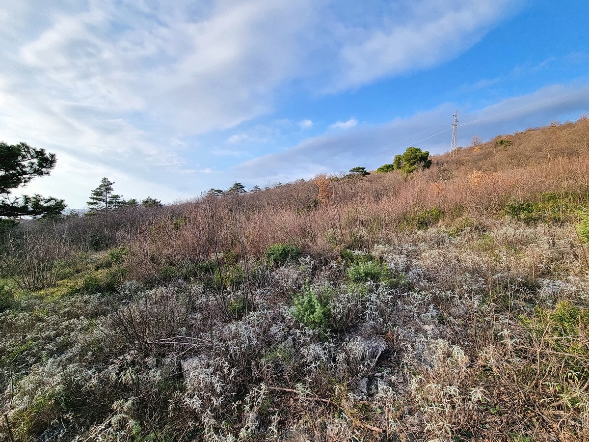 Terrain À vendre - Primorsko-goranska Crikvenica - foto 4/4