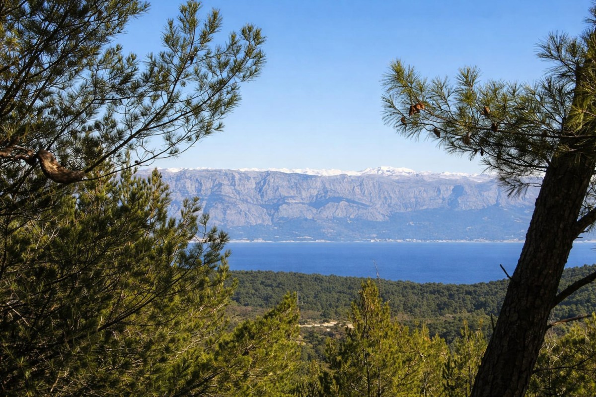Grundstück Zu verkaufen - Splitsko-dalmatinska Hvar - foto 3/4