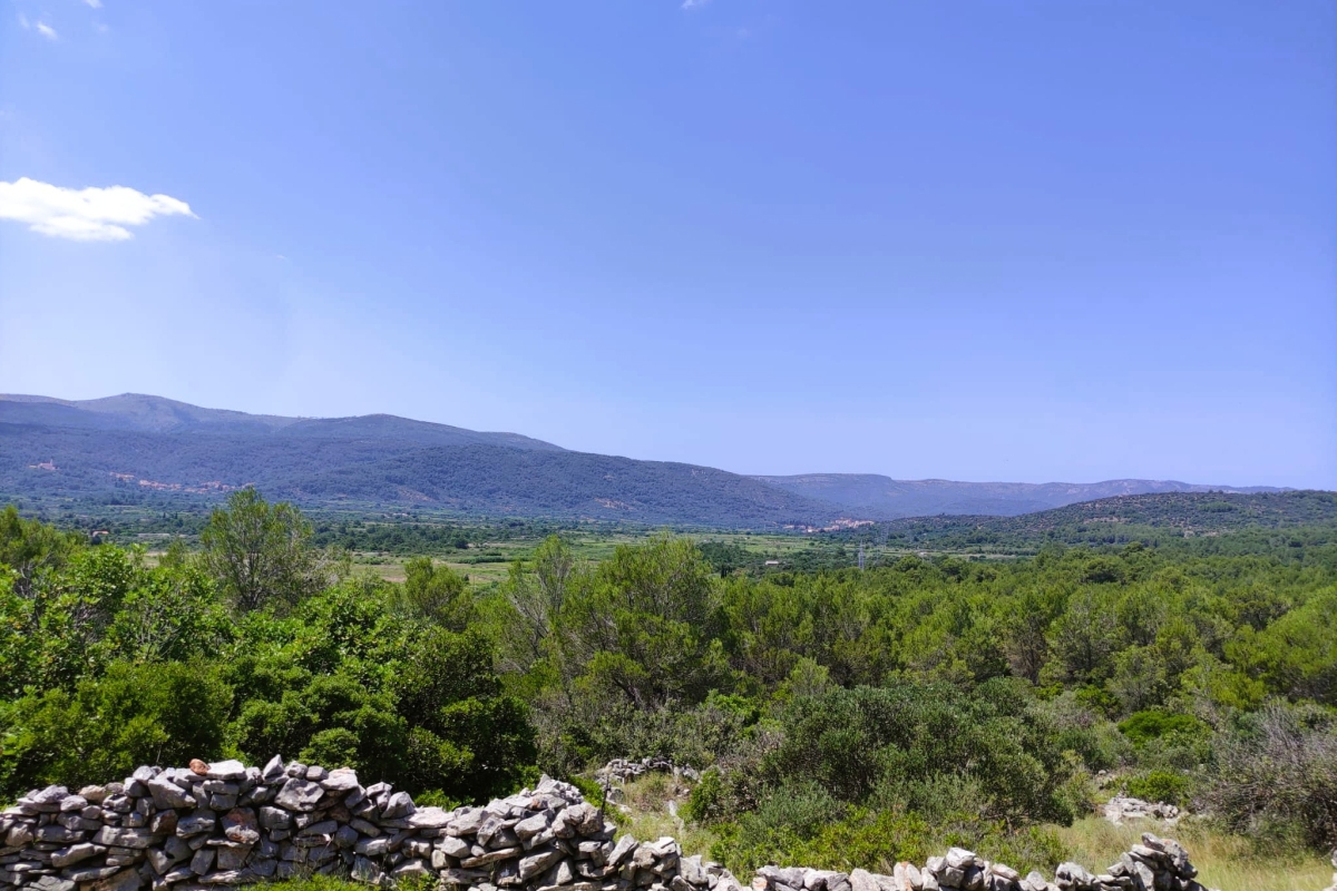 Land For sale - SPLITSKO-DALMATINSKA HVAR