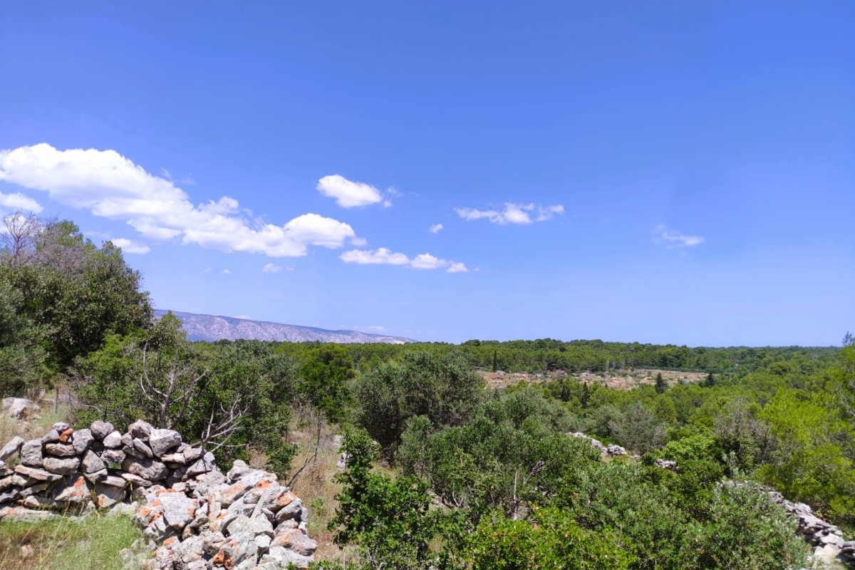 Land For sale - SPLITSKO-DALMATINSKA HVAR