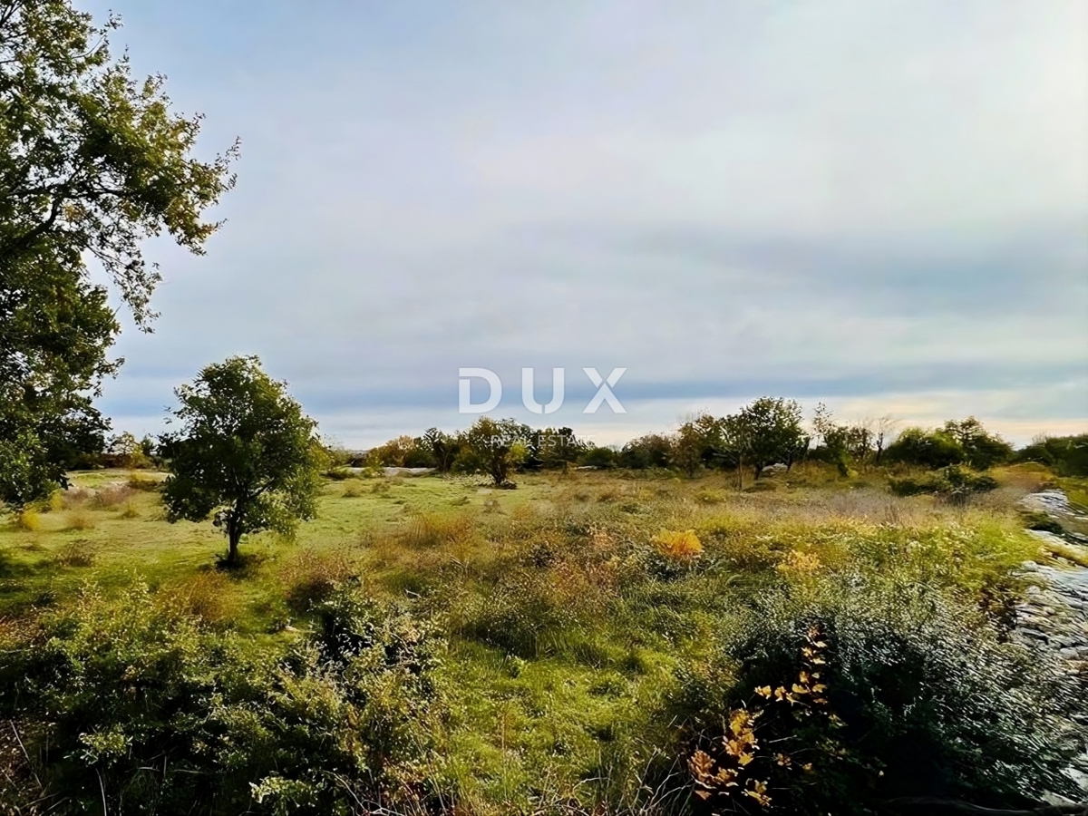 Land For sale - Istarska Vodnjan - foto 3/5