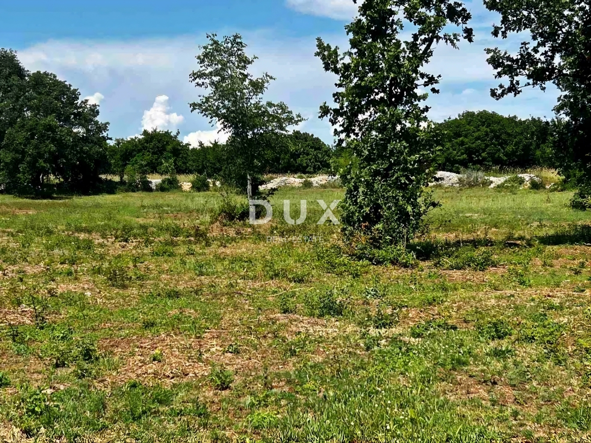 Land For sale - Istarska Vodnjan - foto 4/5
