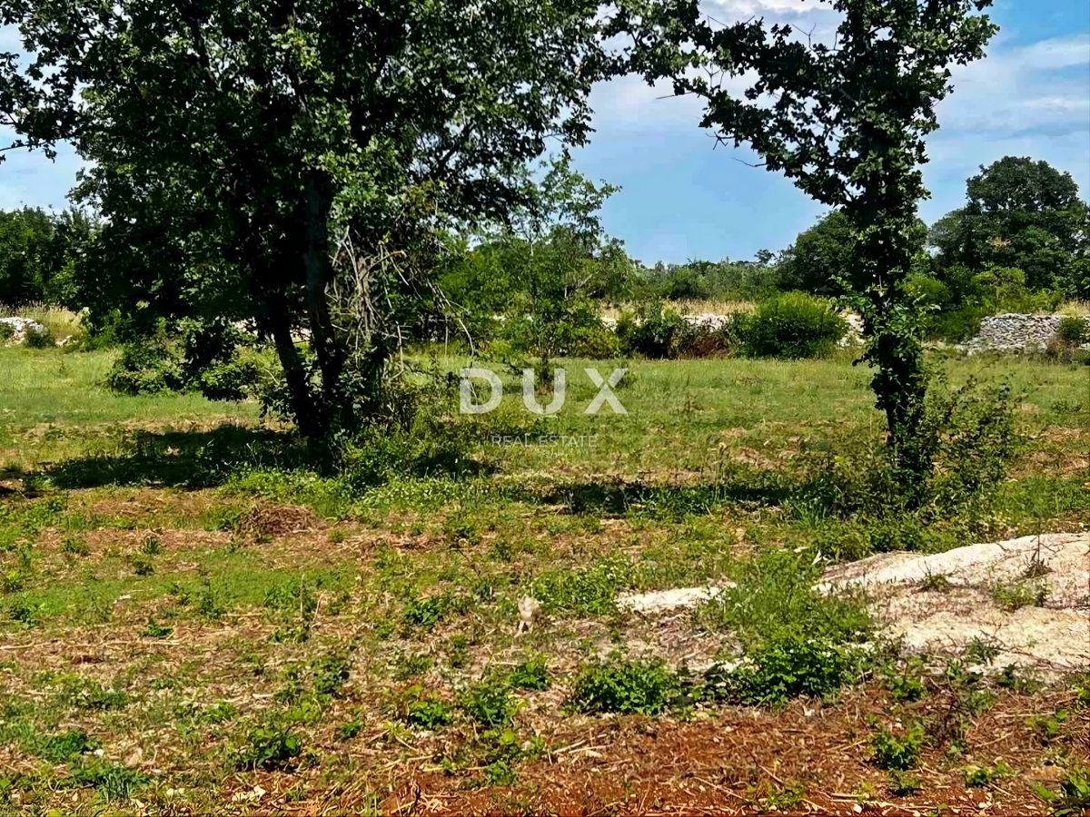 Land For sale - Istarska Vodnjan - foto 5/5