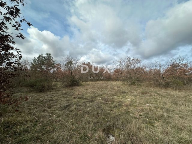 Terrain À vendre - Istarska Svetvinčenat - foto 2/3