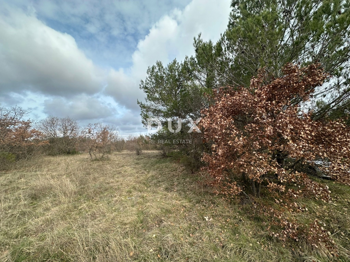 Terrain À vendre - Istarska Svetvinčenat - foto 1/3