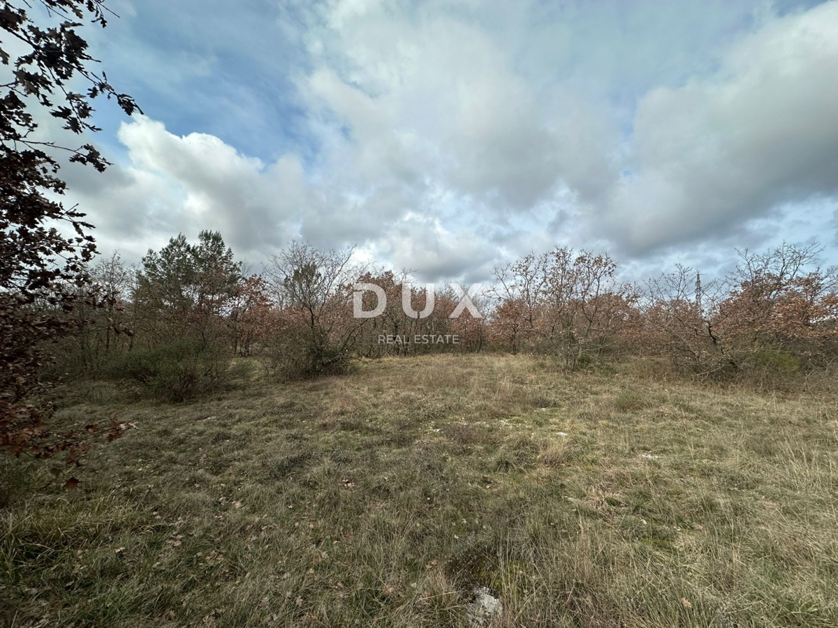Terrain À vendre - Istarska Svetvinčenat - foto 2/3