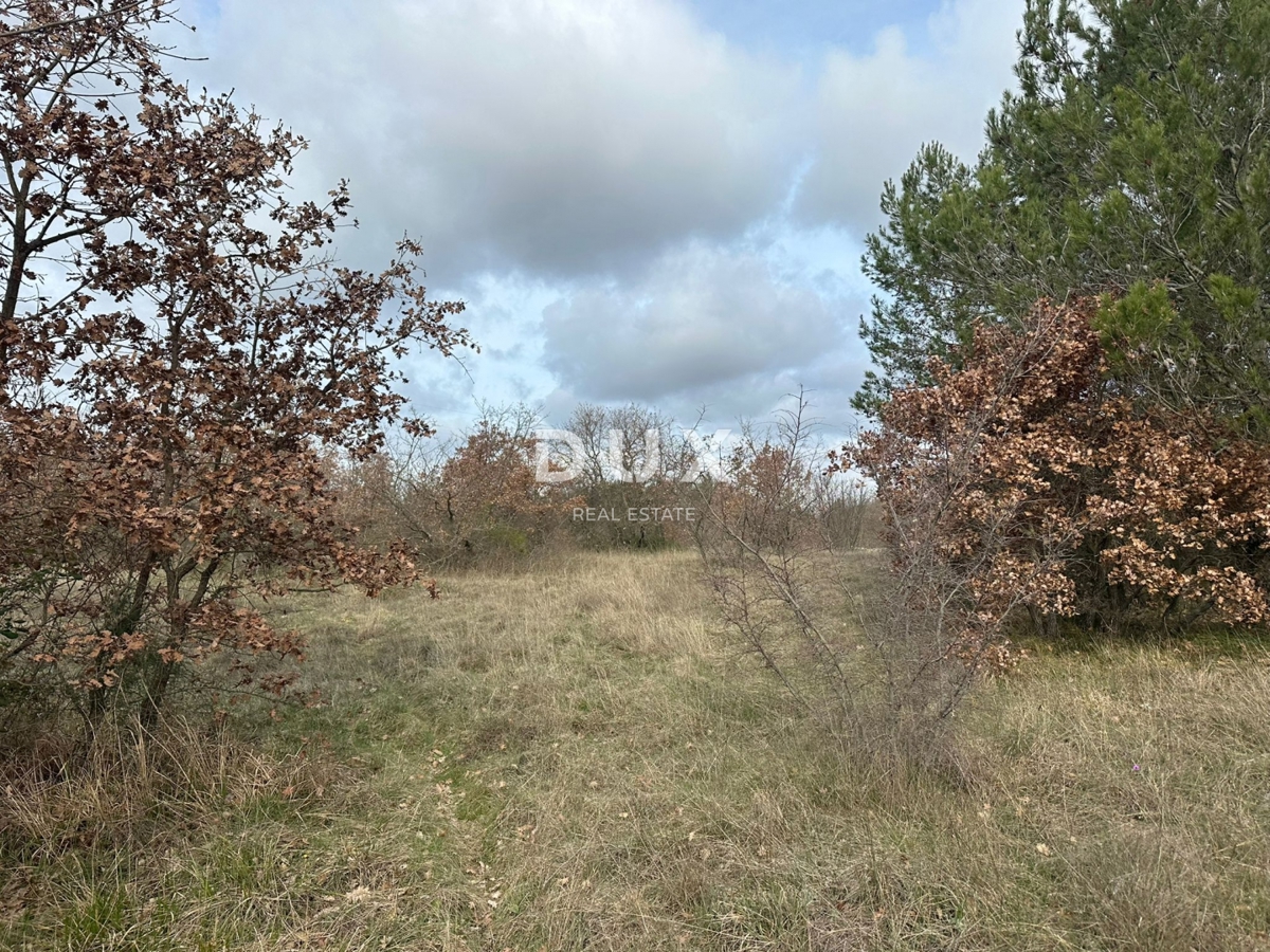 Terrain À vendre - Istarska Svetvinčenat - foto 3/3