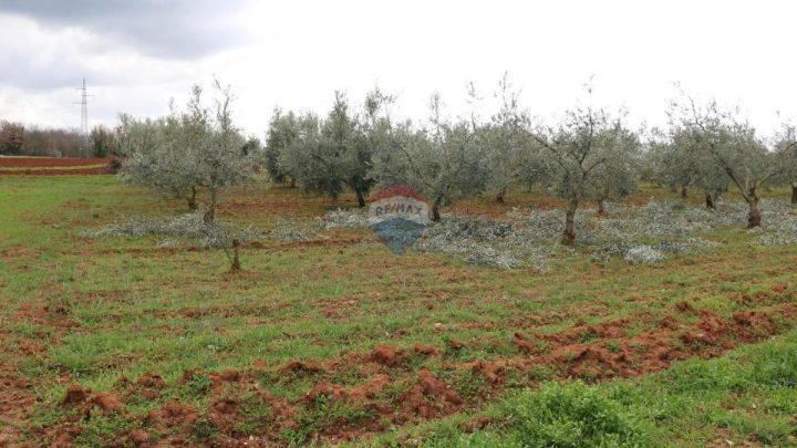 Grundstück zu verkaufen 10200 m² – Poreč