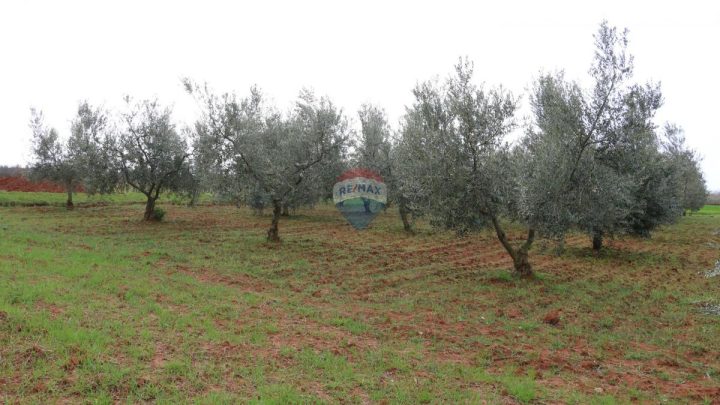 Land For sale - Istarska Poreč - foto 3/7