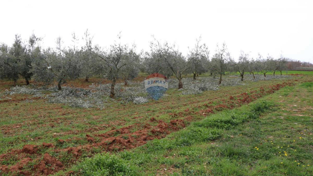 Zemljište Na prodaju - ISTARSKA POREČ
