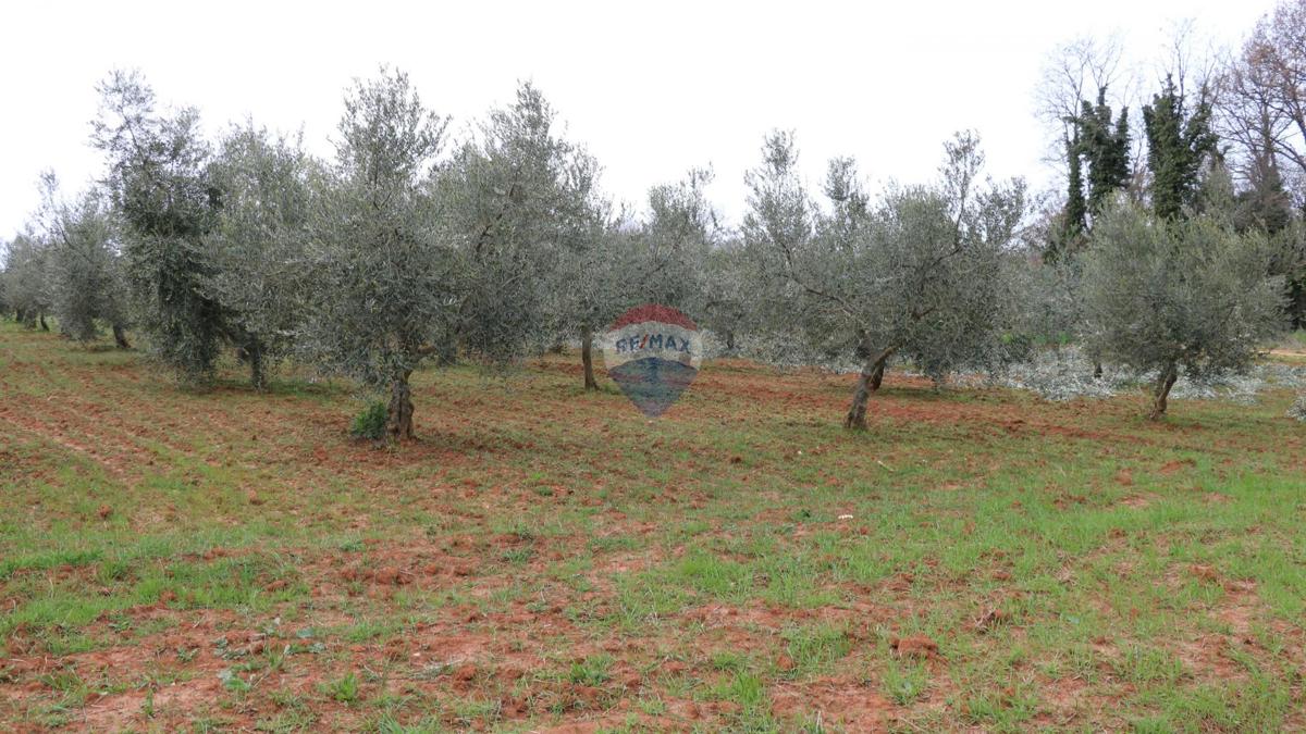 Zemljište Na prodaju - ISTARSKA POREČ