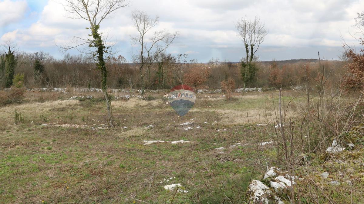 Parcela Na predaj - ISTARSKA TINJAN