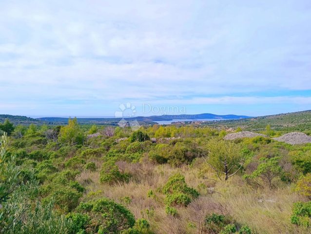 Parcela na predaj 4798 m² – Brač