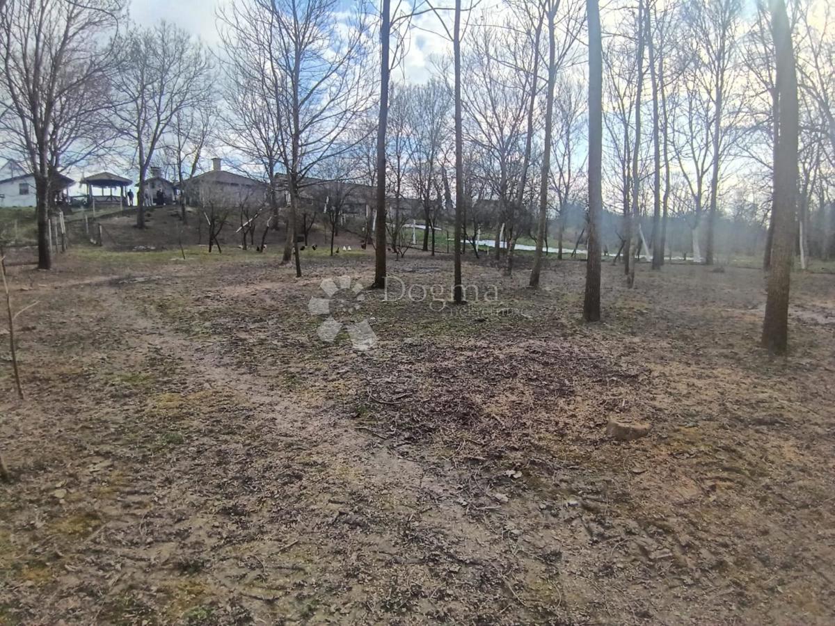 Dom Na sprzedaż - VIROVITIČKO-PODRAVSKA SOPJE