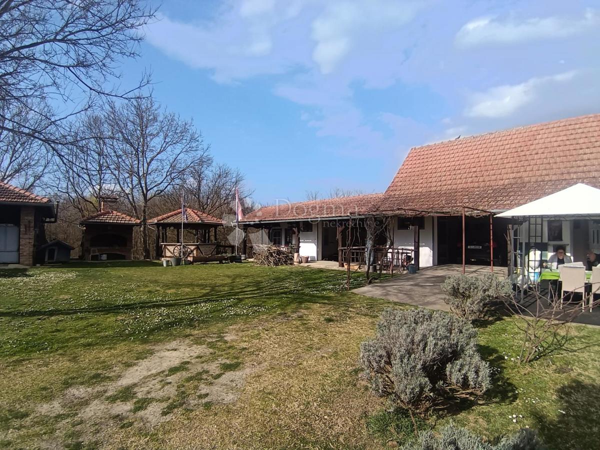Dom Na sprzedaż - Virovitičko-podravska Sopje - foto 2/21