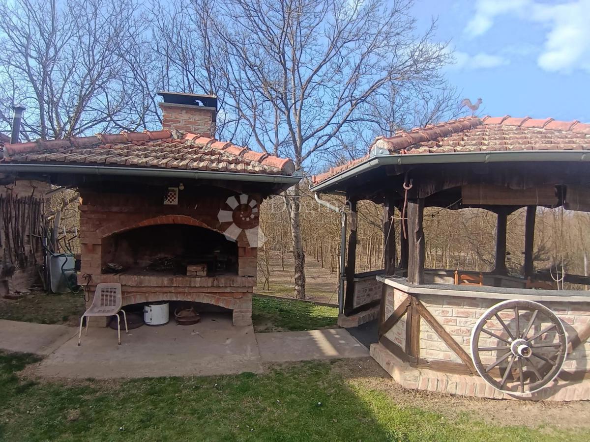 Dom Na sprzedaż - Virovitičko-podravska Sopje - foto 5/21