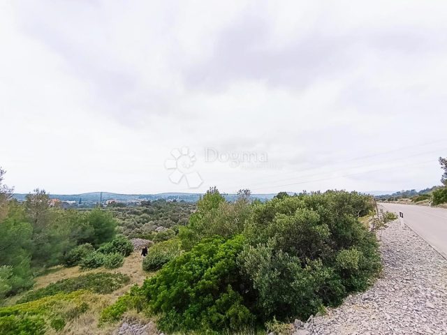 Parcela na predaj 9608 m² – Brač