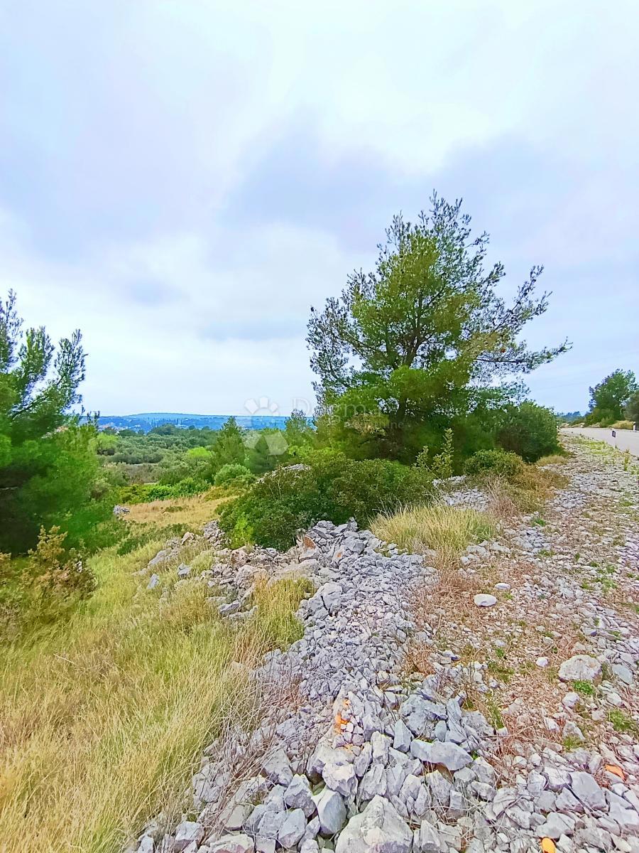 Działka Na sprzedaż - SPLITSKO-DALMATINSKA BRAČ