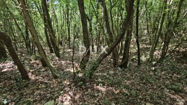 Land for sale 14670 m² – Marčana