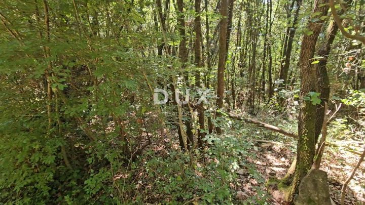 Land For sale - Istarska Marčana - foto 3/4