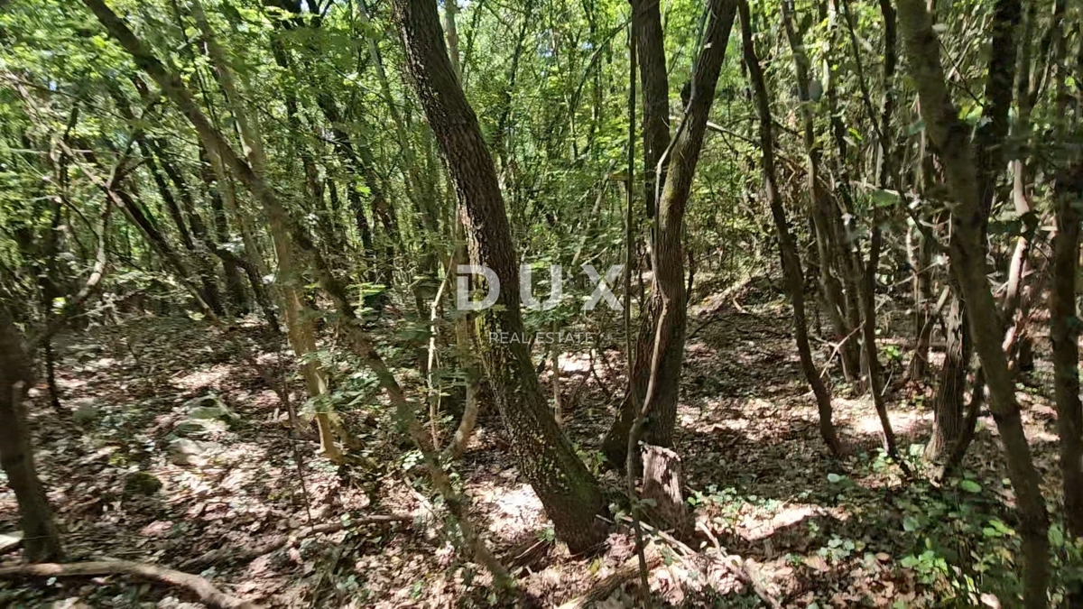 Zemljište Na prodaju - ISTARSKA MARČANA