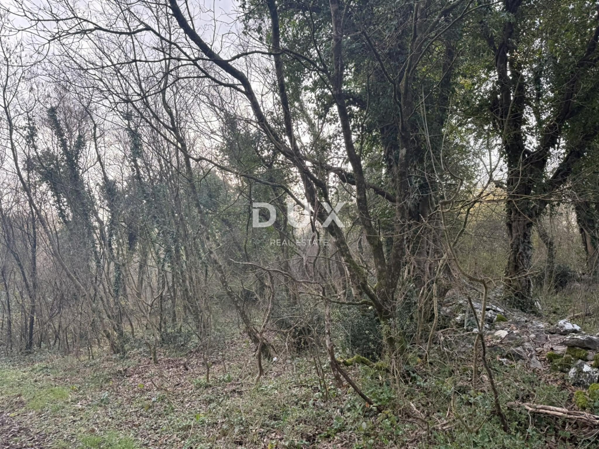 Land For sale - Istarska Labin - foto 4/4