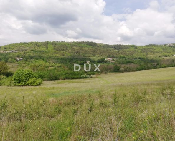 Land for sale 53183 m² – Motovun